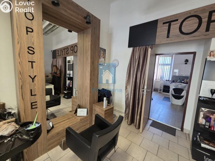 Pronájem komerční nemovitosti Plzeň, Tylova č. 2