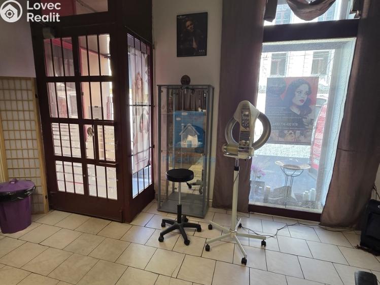 Pronájem komerční nemovitosti Plzeň, Tylova č. 4