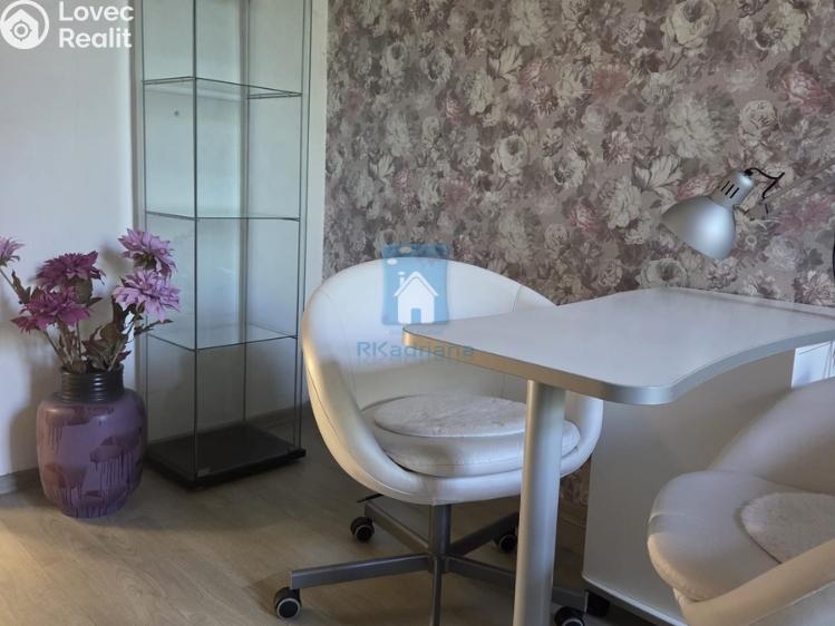 Pronájem komerční nemovitosti Plzeň, Tylova č. 5