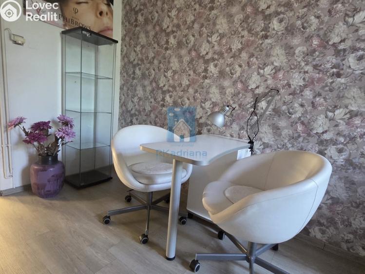 Pronájem komerční nemovitosti Plzeň, Tylova č. 6