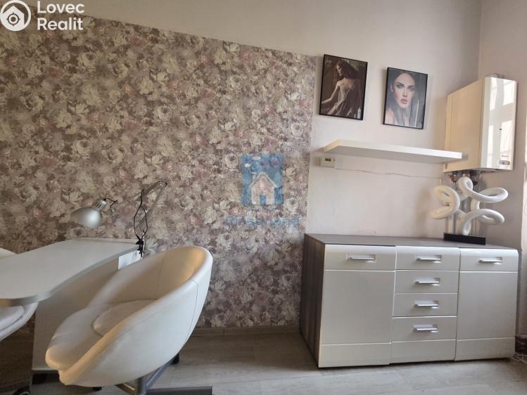 Pronájem komerční nemovitosti Plzeň, Tylova č. 7