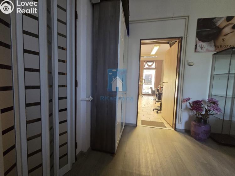 Pronájem komerční nemovitosti Plzeň, Tylova č. 8