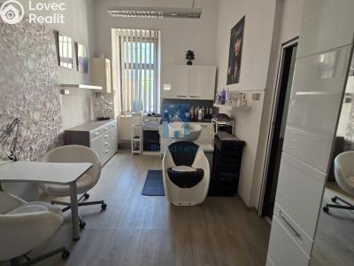 Rent commercial properties Plzeň, Tylova č. 1