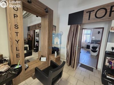 Rent commercial properties Plzeň, Tylova č. 2