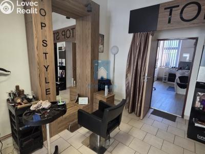 Rent commercial properties Plzeň, Tylova č. 3