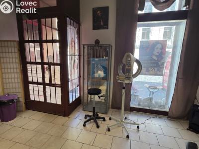 Rent commercial properties Plzeň, Tylova č. 4