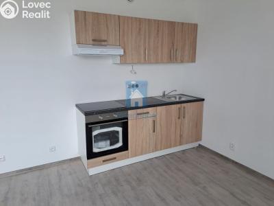 Pronájem bytu 3+KK Plzeň, Železniční č. 4