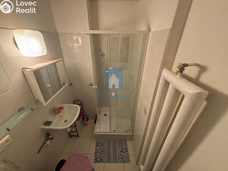 Prodej bytu 2+1 Karlovy Vary, K. Čapka č. 6