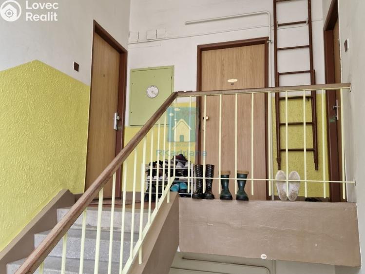 Pronájem bytu 2+1 Hranice č. 11