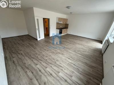 Pronájem bytu 1+KK Plzeň, Rejskova č. 1