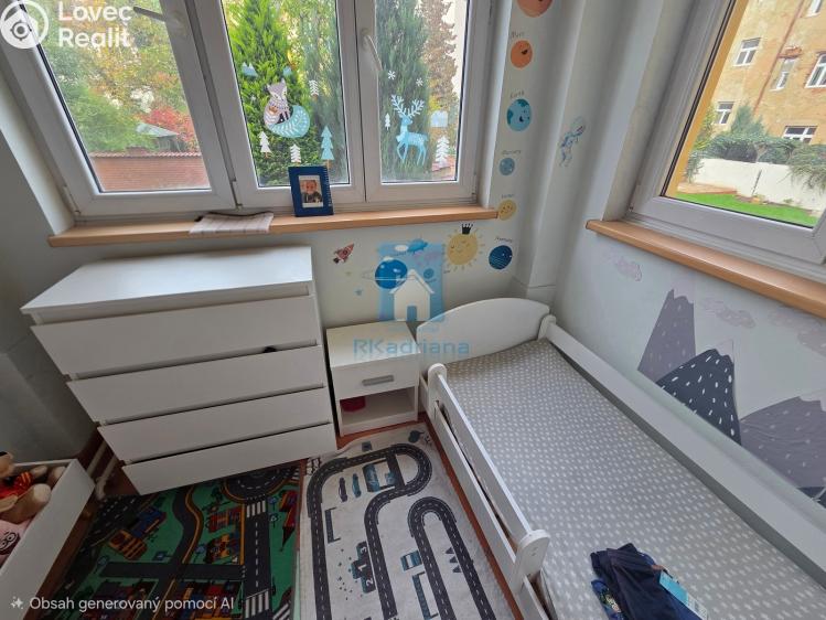 Pronájem bytu 2+1 Plzeň, Kardinála Berana č. 4