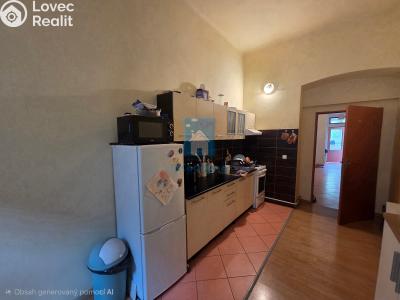 Pronájem bytu 2+1 Plzeň, Kardinála Berana č. 1