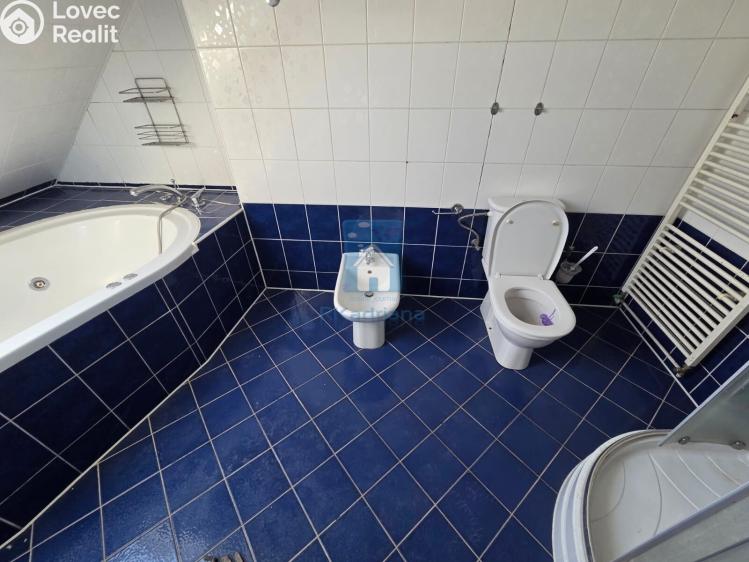 Pronájem bytu 4+KK Plzeň, Přemyslova č. 11