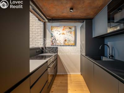 Rent apartment 1+KK Praha, Tusarova č. 4