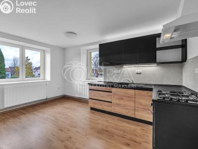 Продаж сімейного будинку Třebnouševes č. 2