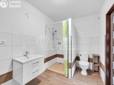 Продаж сімейного будинку Třebnouševes č. 3