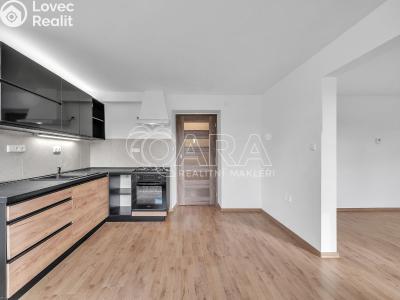 Продаж сімейного будинку Třebnouševes č. 5