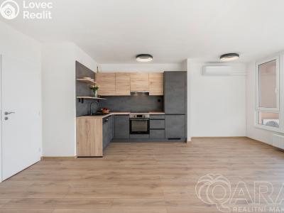 Rent apartment 3+KK Praha, Pavrovského č. 5