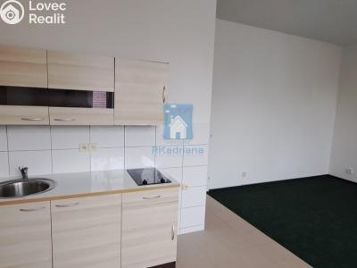 Pronájem bytu 1+KK Plzeň, Černická č. 1