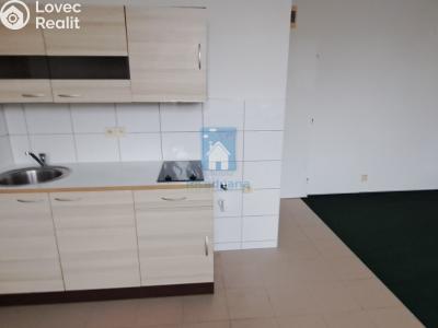 Pronájem bytu 1+KK Plzeň, Černická č. 2