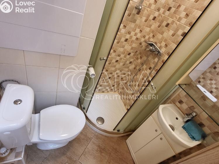 Pronájem bytu 1+KK Brandýs nad Labem-Stará Boleslav, Královická 1399/5 č. 9