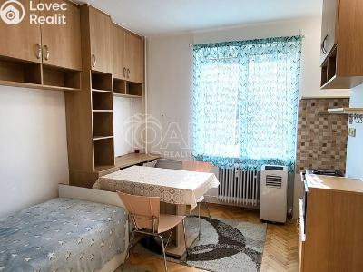 Rent apartment 1+KK Brandýs nad Labem-Stará Boleslav, Královická č. 5