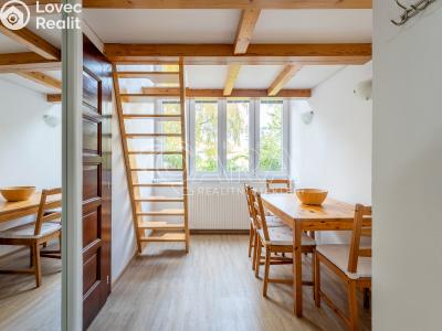 Pronájem bytu 1+1 Brno, Reissigova č. 6