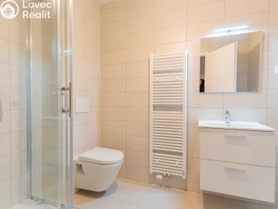 Rent apartment 1+KK Příbram, Špitálská 12 č. 5