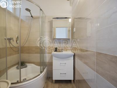 Sale apartment 2+1 Český Těšín, Odboje č. 4