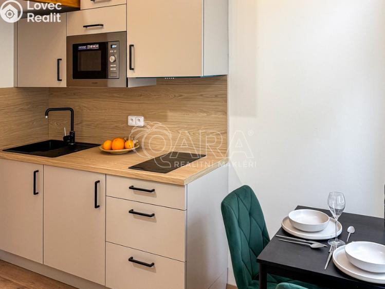 Pronájem bytu 1+KK Praha, Sokolská 1883/8 č. 3