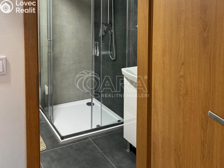 Pronájem bytu 1+KK Praha, Sokolská 1883/8 č. 9