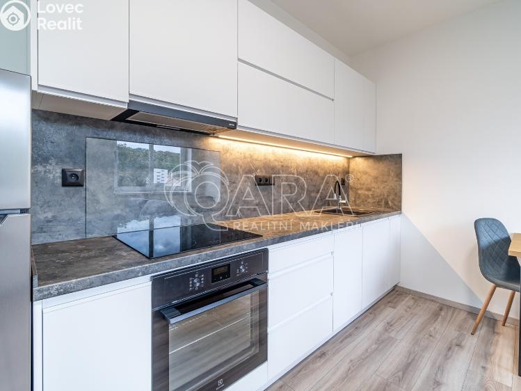 Pronájem bytu 1+KK Kralupy nad Vltavou, S. K. Neumanna 160 č. 3