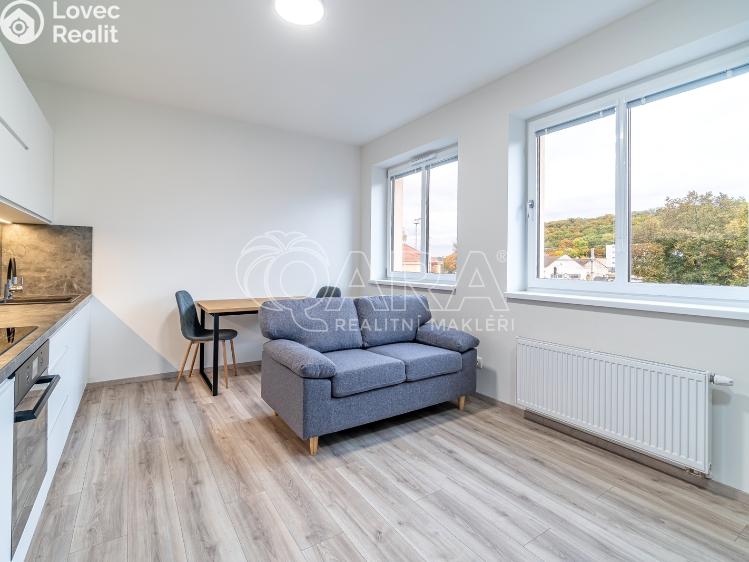 Pronájem bytu 1+KK Kralupy nad Vltavou, S. K. Neumanna 160 č. 7