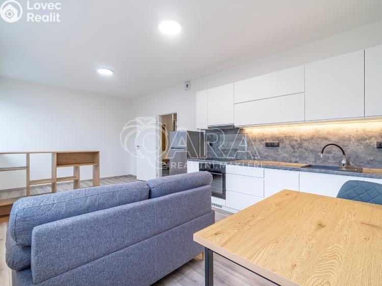 Pronájem bytu 1+KK Kralupy nad Vltavou, S. K. Neumanna 160 č. 8