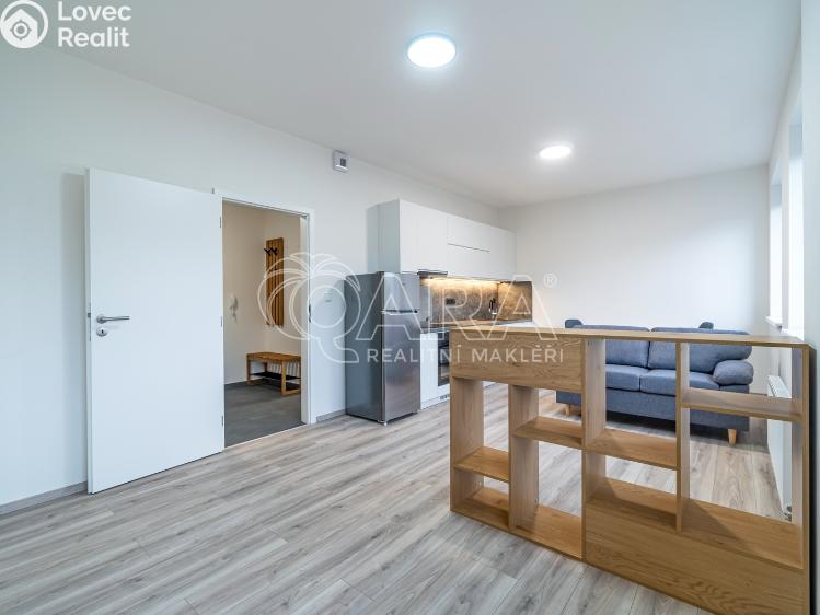 Pronájem bytu 1+KK Kralupy nad Vltavou, S. K. Neumanna 160 č. 10