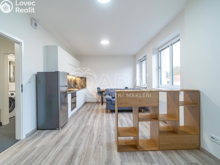 Pronájem bytu 1+KK Kralupy nad Vltavou, S. K. Neumanna 160 č. 11