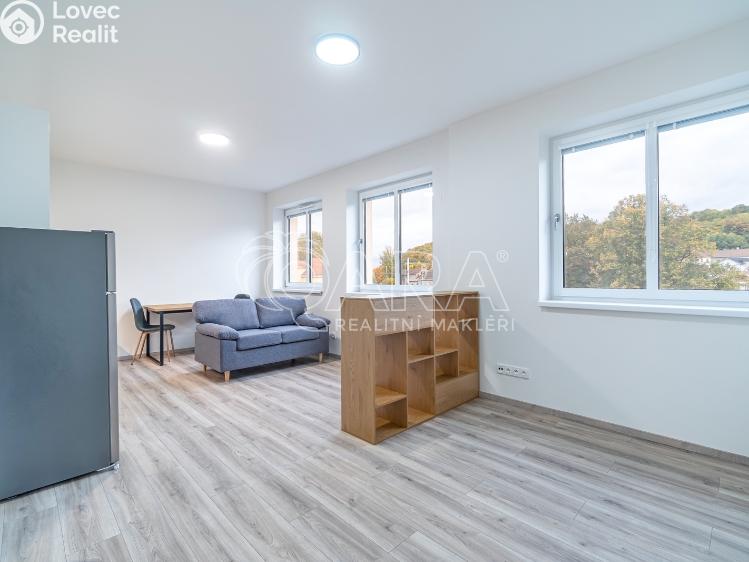 Pronájem bytu 1+KK Kralupy nad Vltavou, S. K. Neumanna 160 č. 12