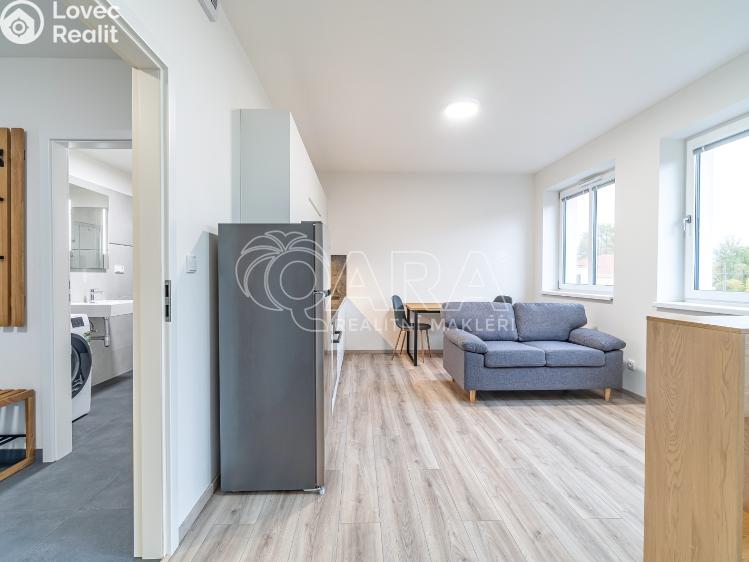 Pronájem bytu 1+KK Kralupy nad Vltavou, S. K. Neumanna 160 č. 13