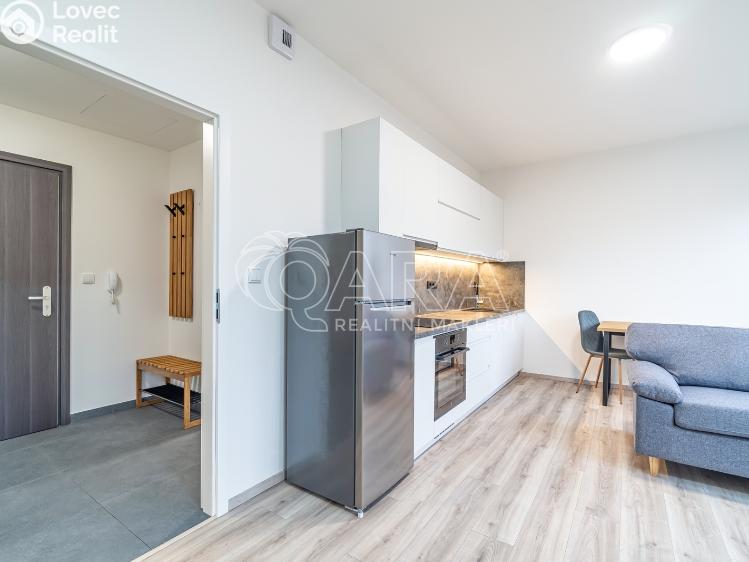 Pronájem bytu 1+KK Kralupy nad Vltavou, S. K. Neumanna 160 č. 14