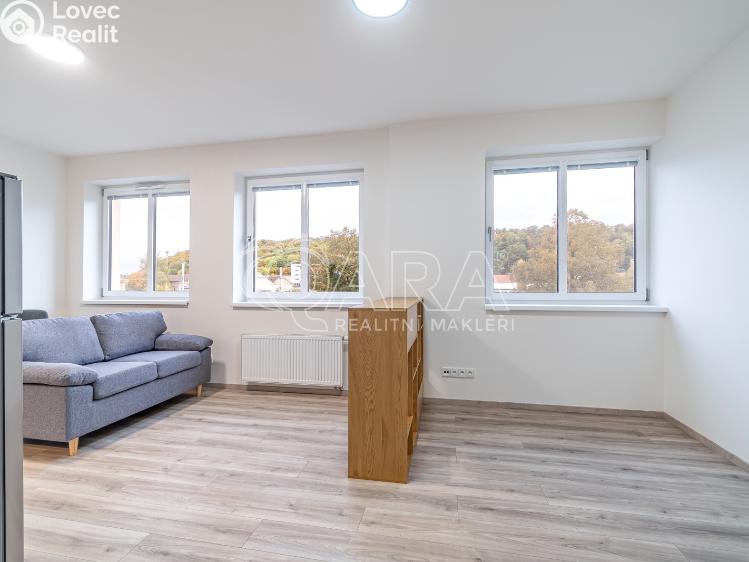 Pronájem bytu 1+KK Kralupy nad Vltavou, S. K. Neumanna 160 č. 15