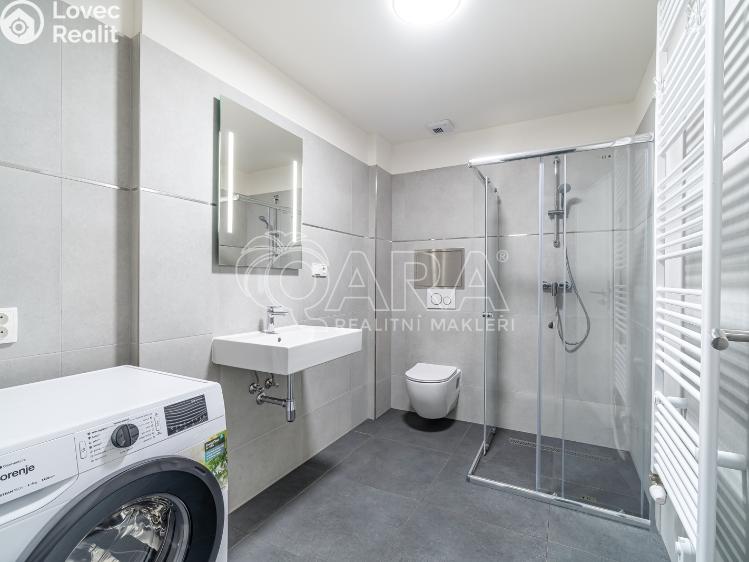 Pronájem bytu 1+KK Kralupy nad Vltavou, S. K. Neumanna 160 č. 19