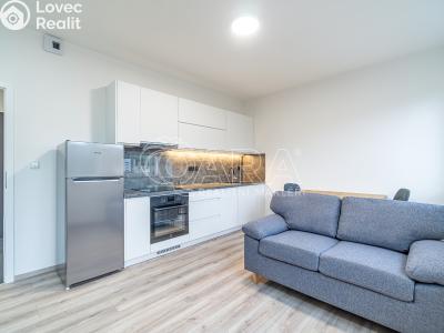 Rent apartment 1+KK Kralupy nad Vltavou, S. K. Neumanna 160 č. 2