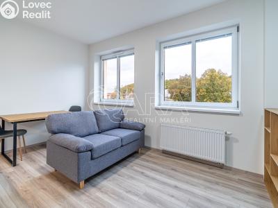 Rent apartment 1+KK Kralupy nad Vltavou, S. K. Neumanna 160 č. 4