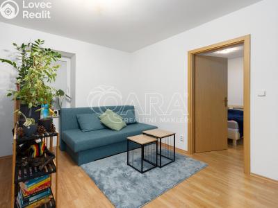 Prodej bytu 2+KK Luhačovice, Mlýnská 161 č. 2