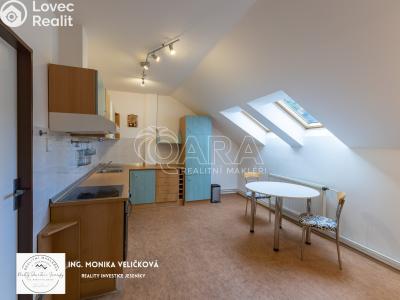 Sale apartment 4+1 Vrbno pod Pradědem č. 3