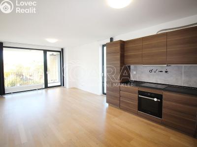 Rent apartment 3+KK Praha, Plzákova č. 3