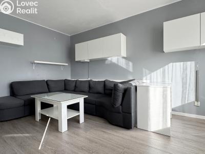 Rent apartment 2+1 Kladno, Havanská 2140 č. 4