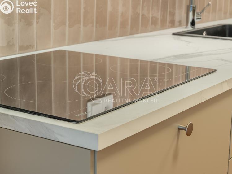 Pronájem bytu 3+1 Praha, Na Mlejnku 1010/10 č. 16