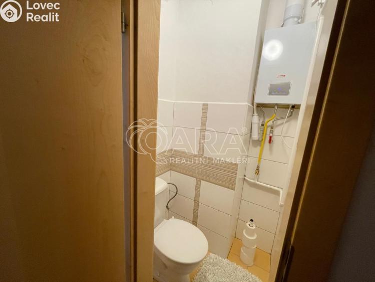 Pronájem bytu 3+KK Plasy, Potoční 471 č. 9