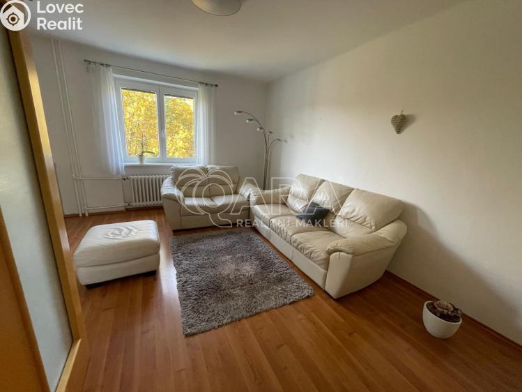 Pronájem bytu 3+KK Plasy, Potoční 471 č. 10